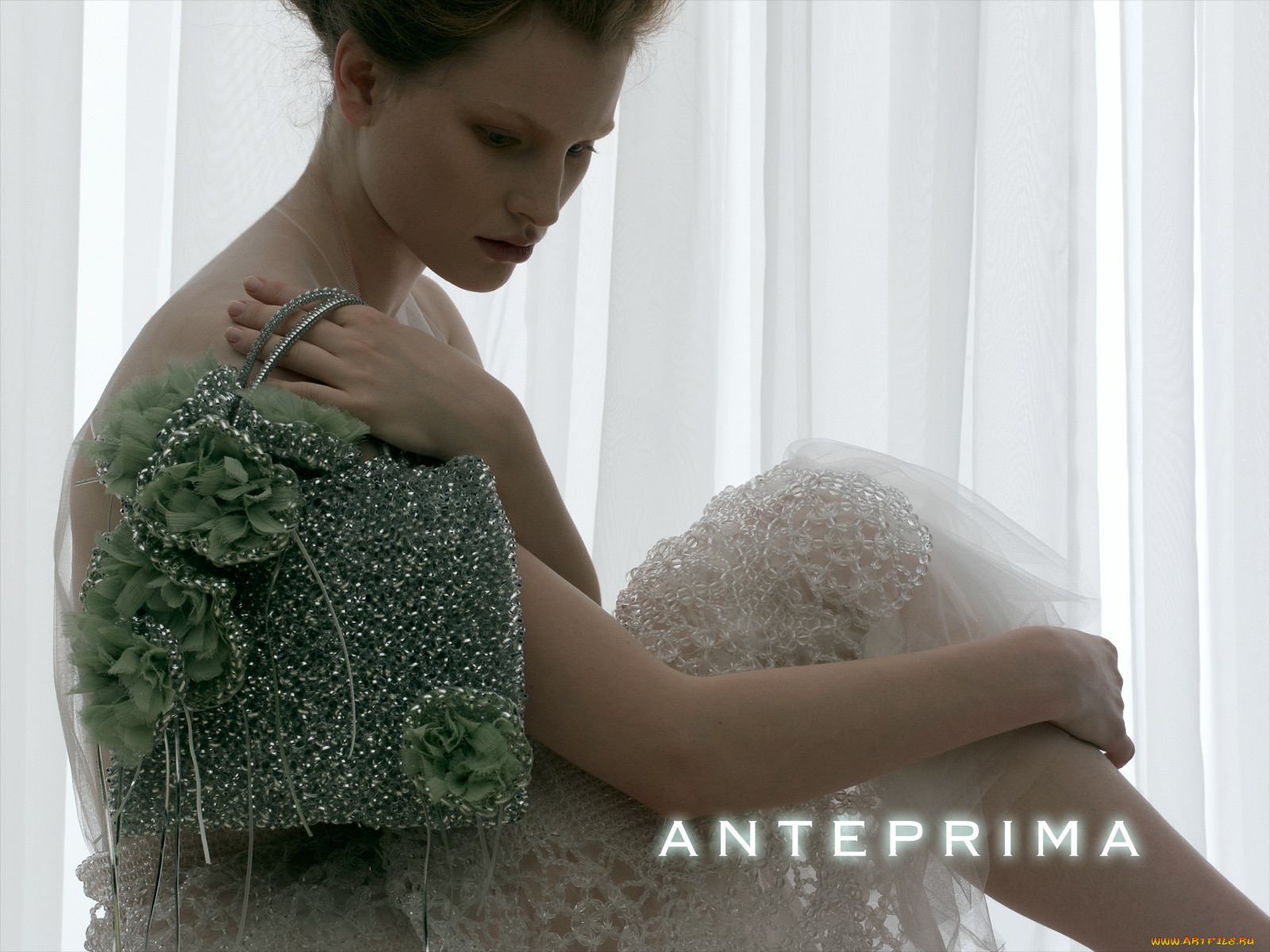 anteprima, 